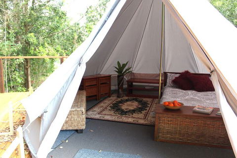 Stonehouse Farm Glamping - Accommodation Daintree 6