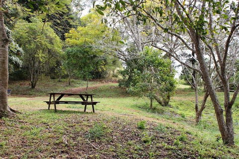 Stonehouse Farm Glamping - Accommodation Daintree 1