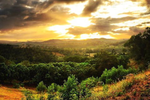 Stonehouse Farm Glamping - Accommodation Daintree 0