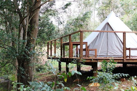 Stonehouse Farm Glamping - Accommodation Daintree 5