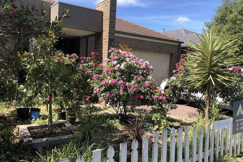 Apple House - Accommodation Daintree 2