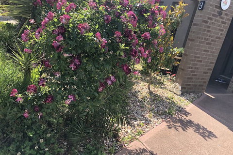 Apple House - Accommodation Daintree 1