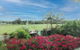 Alloway - thumb 4