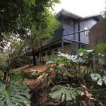SerenityatMontville - Accommodation Daintree 0