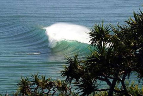 Cabarita Studio - Accommodation Daintree 0