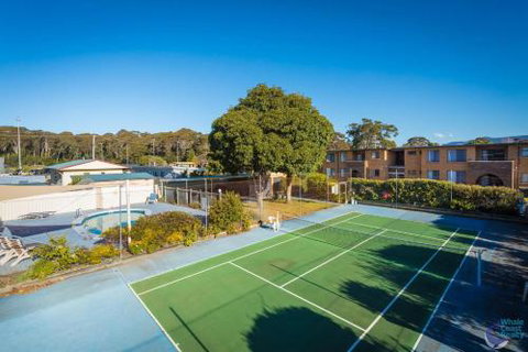 Apollo Unit 30 - Accommodation Daintree 4