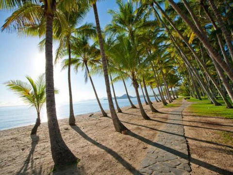 TROPSVILLA At PALM COVE - Accommodation Daintree 1