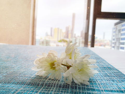 Apartments On Connor - Accommodation Daintree 5