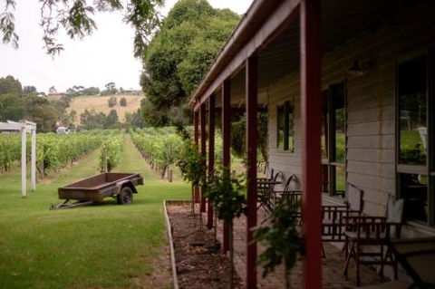 Fergusson Winery Homestead Accomodation - Accommodation Daintree 2