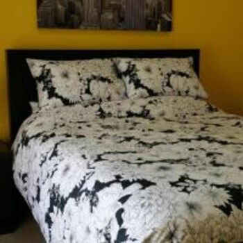 Numurkah Self Contained Apartments - Accommodation Daintree 5