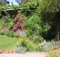 Castagni Bed  Breakfast - Accommodation Daintree