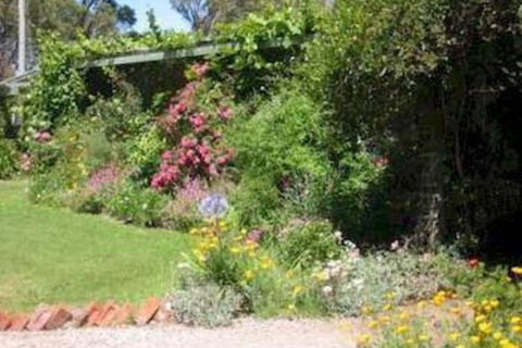 Castagni Bed & Breakfast - Accommodation Daintree 0