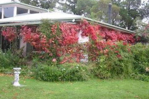 Castagni Bed & Breakfast - Accommodation Daintree 2
