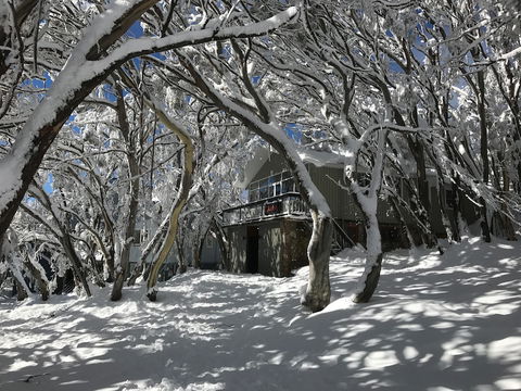 Amber Lodge Mt Buller - Hostel - Accommodation Daintree 2