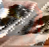 Margaret River Hideaway