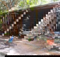 Kerriley Park Farm Stay - Accommodation Daintree