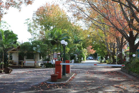 Lani's Holiday Island - Caravan Park - Accommodation Daintree 1