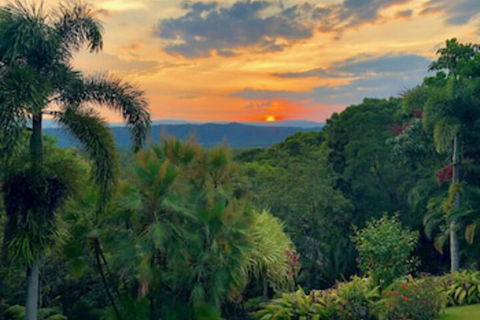 Daintree Manor Bed & Breakfast - Accommodation Daintree 0