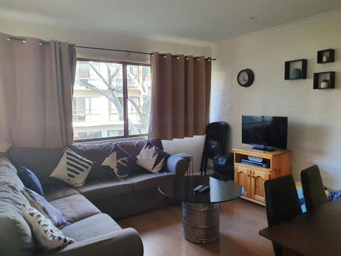 Kirwan 11 - Accommodation Daintree 2