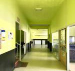 Bigfoot backpackers - Accommodation Daintree