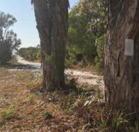 COONARR BEACH  BUNDABERG CAMPING - Accommodation Daintree