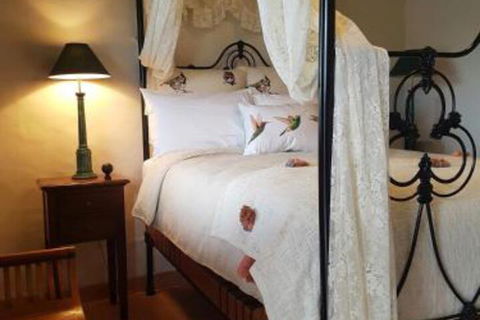 Blue Fattoria - Accommodation Daintree 1