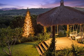 True North - Accommodation Daintree 1