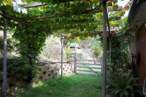 Bushy Park Retreat - Accommodation Daintree 7