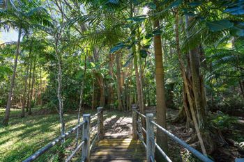 Paperbark - Accommodation Daintree 1