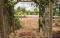 Glencoe Rural Retreat - thumb 3