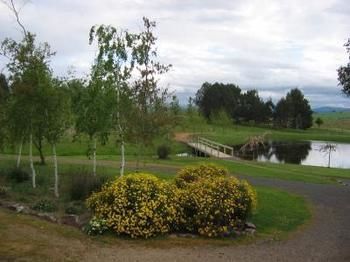 Buttercup Cottage & Private Apartment - Accommodation Daintree 3