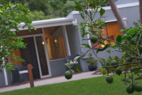 Gecko Shed - Accommodation Daintree 6