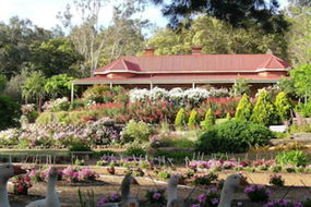 Book Bridgetown Accommodation Vacations Accommodation Daintree Accommodation Daintree