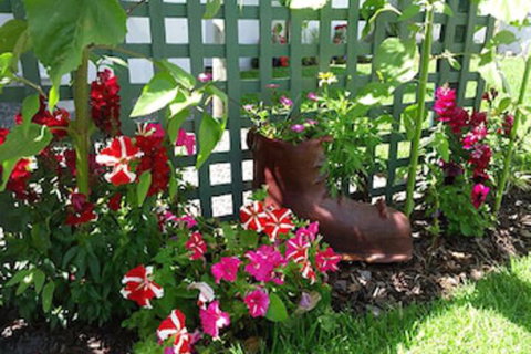 Albany Bayview Lodge YHA - Accommodation Daintree 0