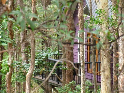 Amytis Gardens Retreat & Day Spa - Accommodation Daintree 1