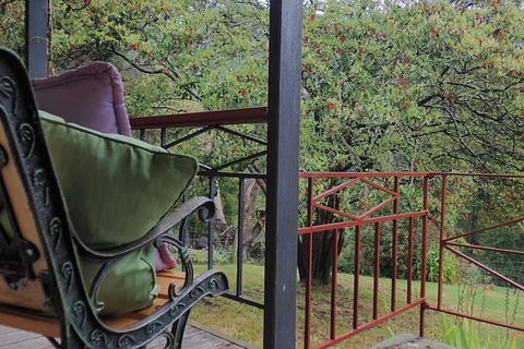 Glenbrook House And Cottage - Accommodation Daintree 1