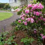 Anabels Of Scottsdale - Accommodation Daintree 0