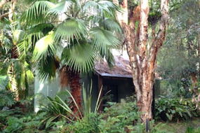 Book Boat Harbour Accommodation Vacations Accommodation Daintree Accommodation Daintree