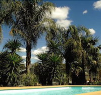 Echuca Motel - Accommodation Daintree