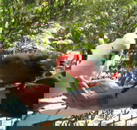 Lorne Bush House Cottages  Eco Retreats