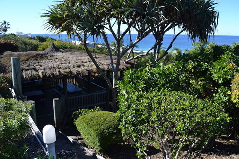 Sunseeker Lodge - Accommodation Daintree 0