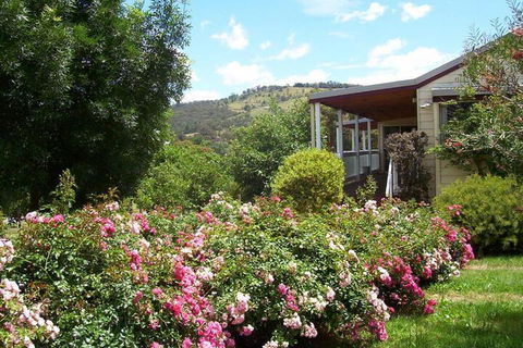 Yarra Glen Bed & Breakfast - Accommodation Daintree 7