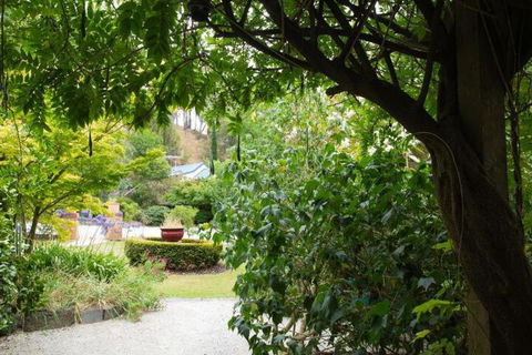 Valley Guest House - Accommodation Daintree 3