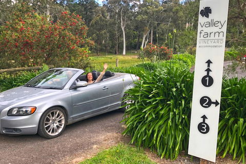 Valley Farm Vineyard Cottages - Accommodation Daintree 0
