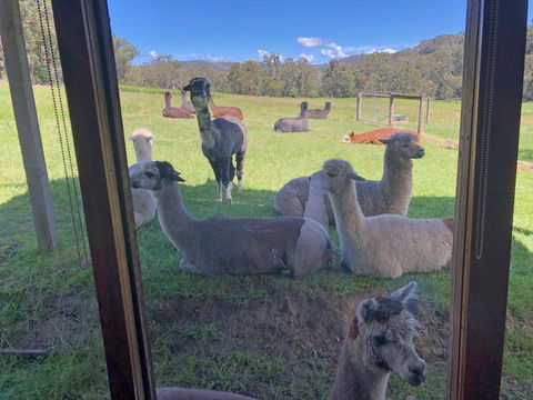 Valley Farm Vineyard Cottages - Accommodation Daintree 2