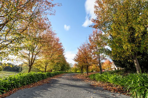 Montfort Manor - Accommodation Daintree 0