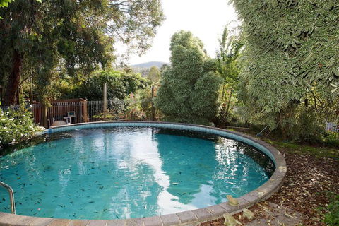 Holly Lane Mews - Accommodation Daintree 5