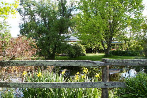 Holly Lane Mews - Accommodation Daintree 2