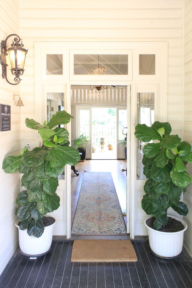 Bangalow NSW Accommodation Daintree