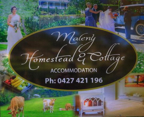 At Remingtons Private Cottages & Lodge - Accommodation Daintree 3
